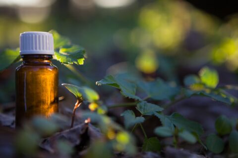 Thumbnail for the listing's main image